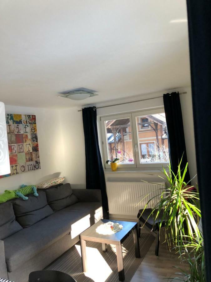 Apartment Gisi 인스브루크 외부 사진